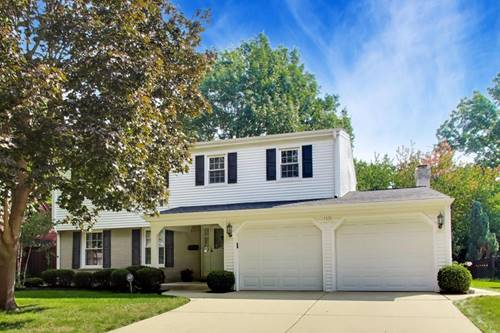 1535 N Haddow, Arlington Heights, IL 60004