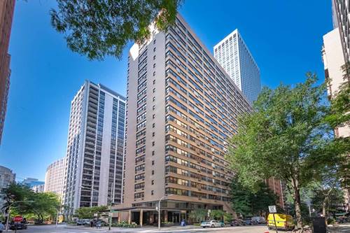 850 N Dewitt Unit 16I, Chicago, IL 60611