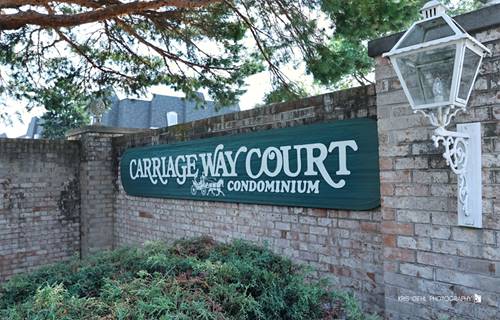 5201 Carriageway Unit C116, Rolling Meadows, IL 60008