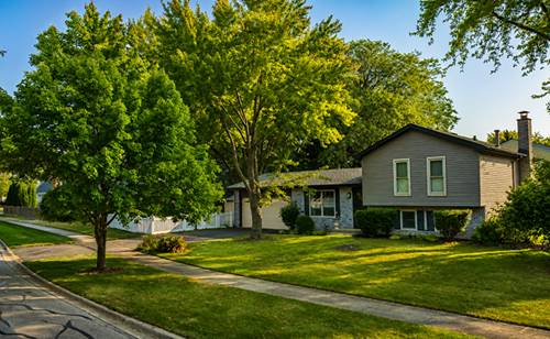 4 N Birchwood, Naperville, IL 60540