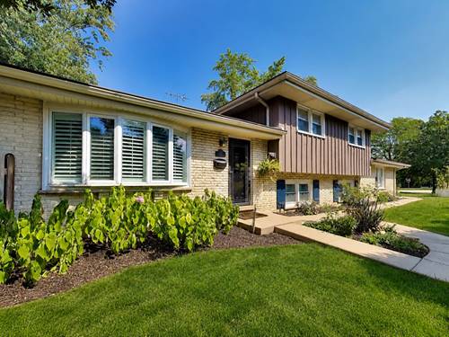 116 W Central, Arlington Heights, IL 60005