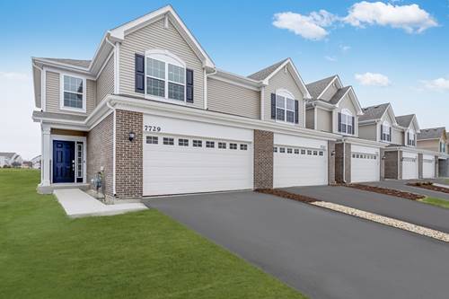 1122 Blazingstar, Joliet, IL 60431