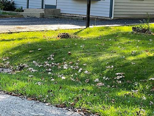 21341 W Sarah, Lake Villa, IL 60046