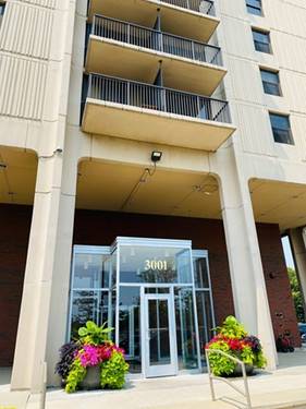 3001 S Michigan Unit 1303, Chicago, IL 60616