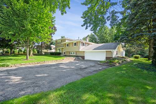 6151 Leonard, Downers Grove, IL 60516