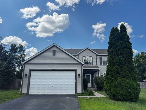 223 Paradise, Oswego, IL 60543