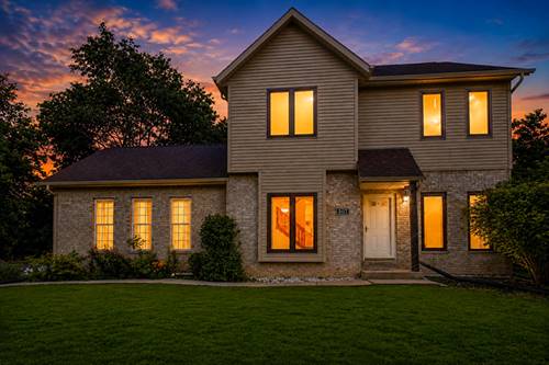 307 Blackstone, Willow Springs, IL 60480