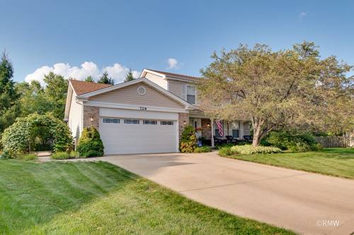 729 Cutters Mill, Schaumburg, IL 60194