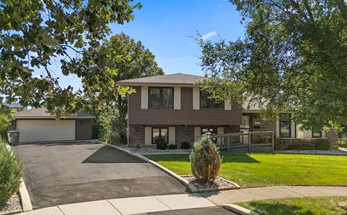15065 Avenida Del Este, Orland Park, IL 60462