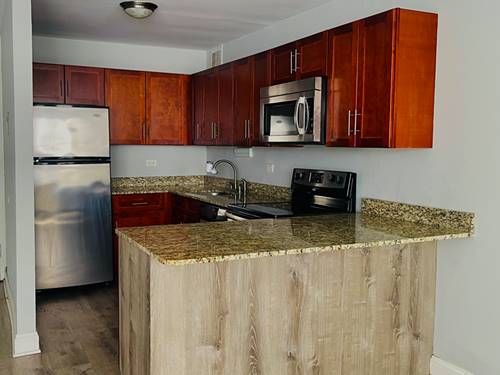 655 W Irving Park Unit 311, Chicago, IL 60613