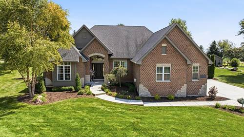 11286 Brighton Oaks, Yorkville, IL 60560
