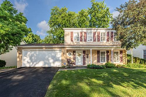 1153 S Fairview, Lombard, IL 60148