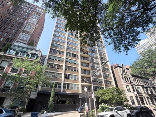40 E Cedar Unit 11C, Chicago, IL 60611