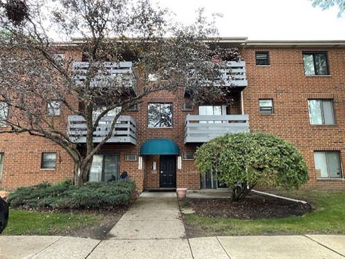 1343 N Winslowe Unit 203, Palatine, IL 60074