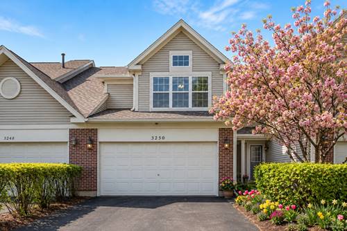 3250 Cool Springs Unit 3250, Naperville, IL 60564
