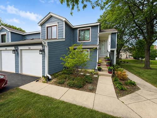 116 Manchester Unit 916, Schaumburg, IL 60193