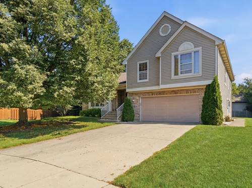 1173 N Clearwater, Palatine, IL 60067