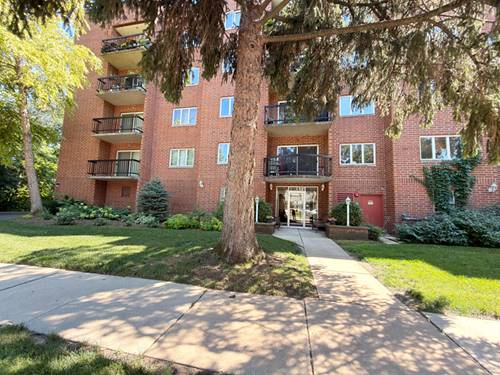 1653 River Unit 306, Des Plaines, IL 60016
