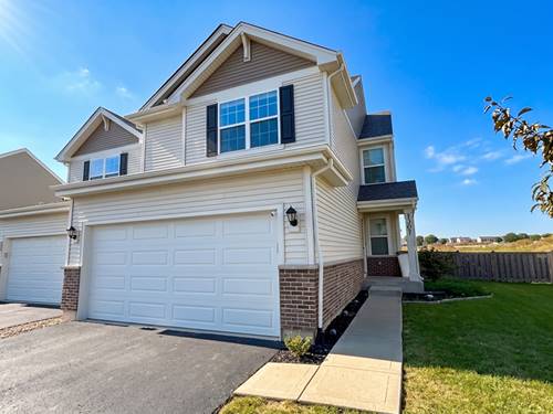 1307 Fawnlily, Joliet, IL 60431