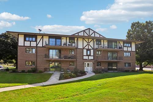 11009 S Theresa Unit 2B, Palos Hills, IL 60465