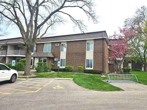 974 Thornton Unit 212, Buffalo Grove, IL 60089