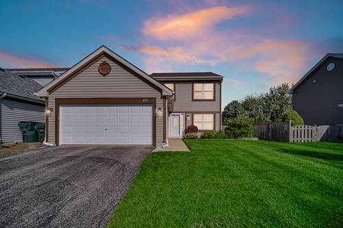 455 Rosewood Unit -, Lindenhurst, IL 60046