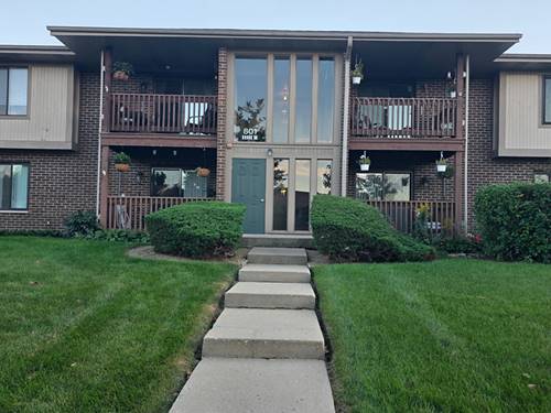 801 Brook Unit 3, Streamwood, IL 60107