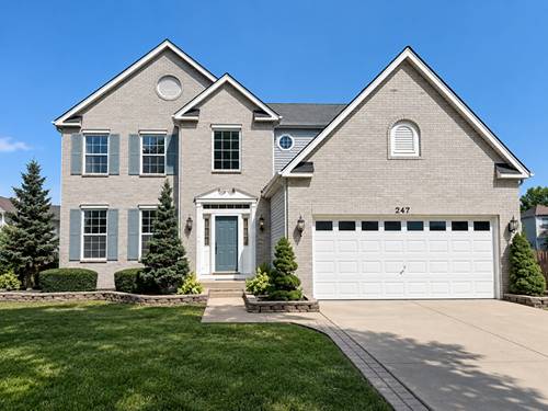 247 Alyssum, Romeoville, IL 60446