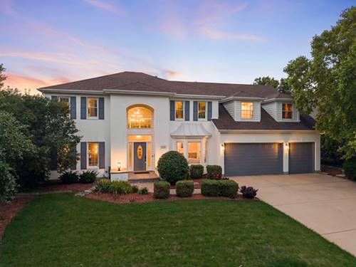 919 Abbey, Sugar Grove, IL 60554