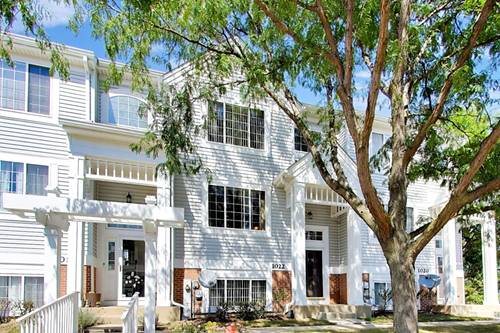 1022 Savoy, Elk Grove Village, IL 60007