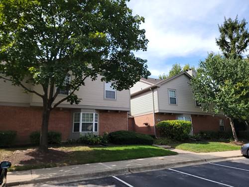 137 White Oak Unit 1, Schaumburg, IL 60195