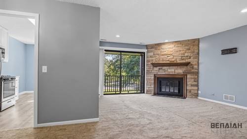 5S541 Paxton Unit G, Naperville, IL 60563