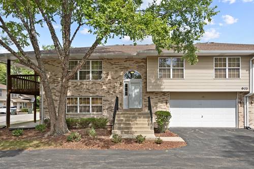 903 Elderberry Unit 115, Naperville, IL 60563
