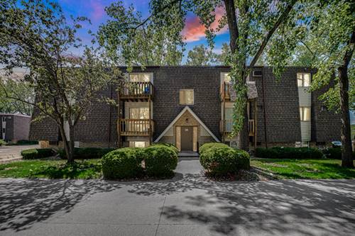 214 Madison Unit 2B, Joliet, IL 60435