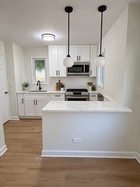 1721 Prospect, Des Plaines, IL 60018