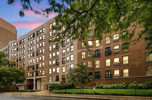 711 W Gordon Unit 310, Chicago, IL 60613