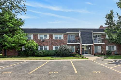 2411 Ogden Unit 11, Downers Grove, IL 60515