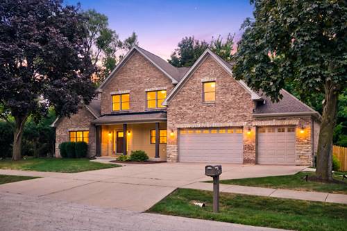 408 W Pine, Roselle, IL 60172