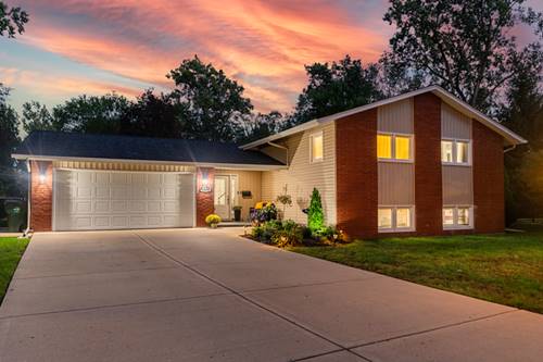 917 E Schirra, Palatine, IL 60074