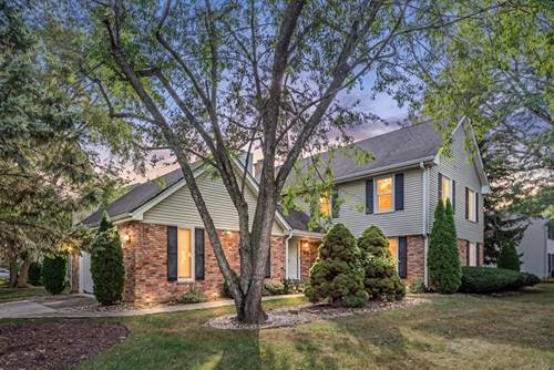 1136 Chateaugay, Naperville, IL 60540