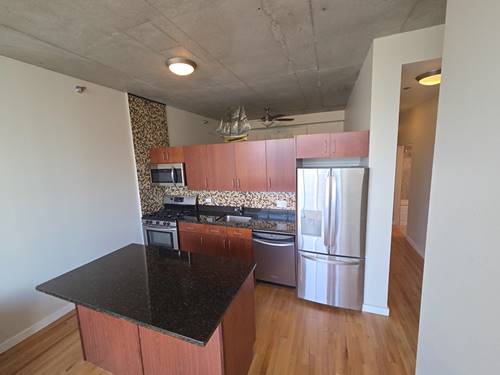 1720 S Michigan Unit 1106, Chicago, IL 60616