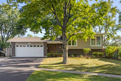 3105 Andrea, Woodridge, IL 60517