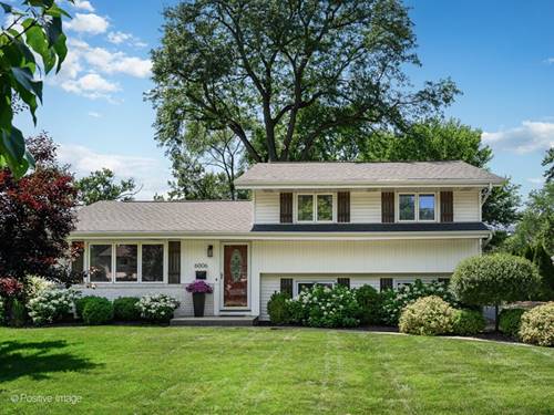 6006 Osage, Downers Grove, IL 60516