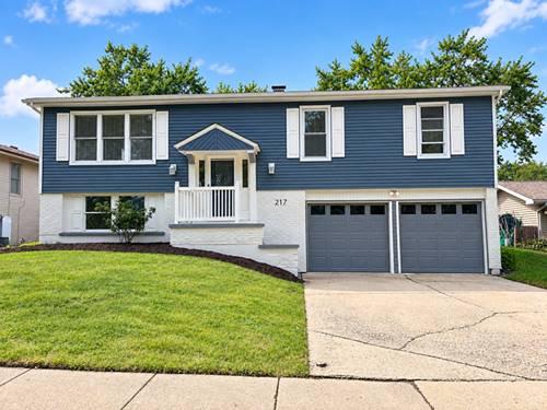 217 N Schmidt, Bolingbrook, IL 60440