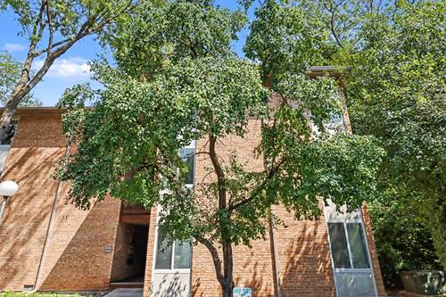 5809 Oakwood Unit D, Lisle, IL 60532