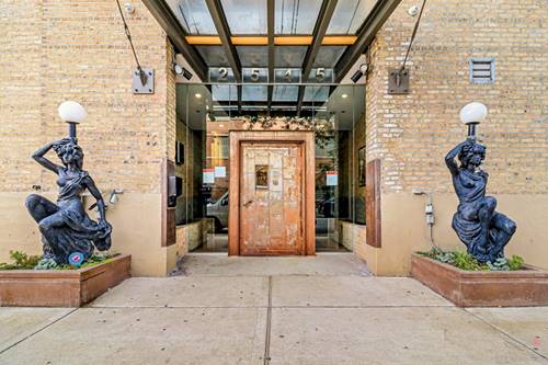 2545 S Dearborn Unit 533, Chicago, IL 60616