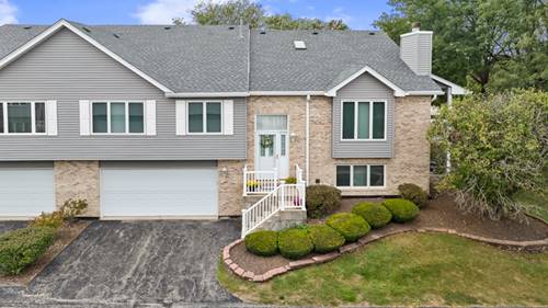 11147 Saratoga, Orland Park, IL 60467