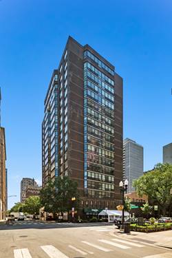 21 W Goethe Unit 15A, Chicago, IL 60610