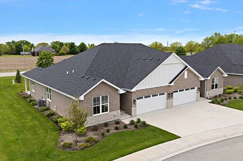 15959 Prairie View Unit T6, New Lenox, IL 60451