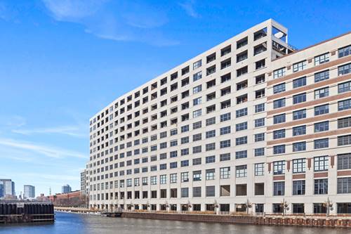 Unit Sortation 845 N Kingsbury, Unit 208, Chicago, IL 60610 - Goose Island